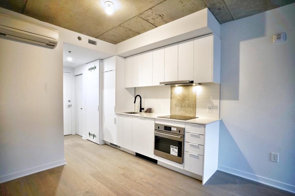 Guiker 1406 Rue SainteElisabeth, Montreal 146567